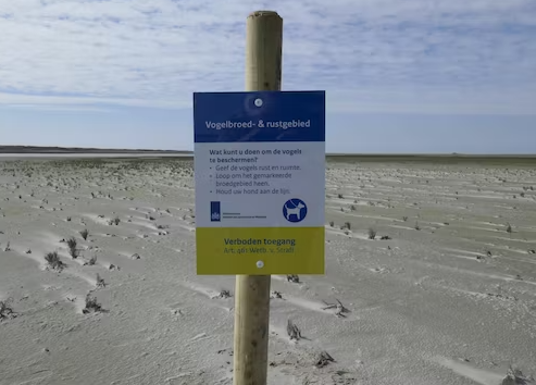 Strandbroeders op Groene Strand Ameland beter beschermd